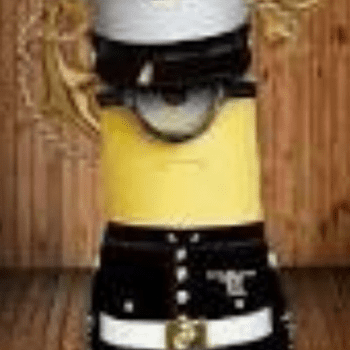Schneider Minion