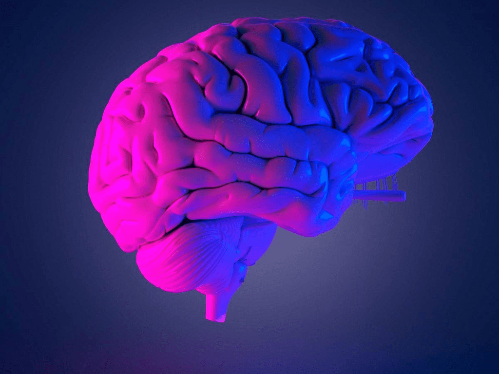 Узи почек сколько нужно выпить воды